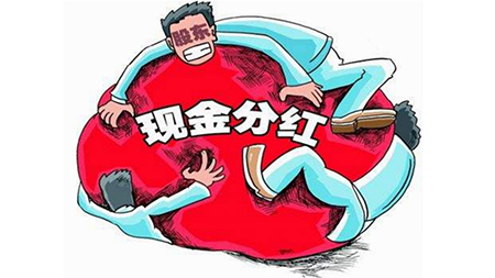 股东可以自行约定分红方案吗？